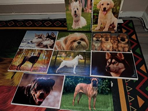 Buy & Sell West Midlands Sandwell - Photos for A4 canvases