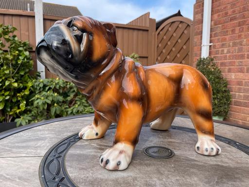 Buy & Sell West Midlands Birmingham - Photos for Large British bull dog figurine