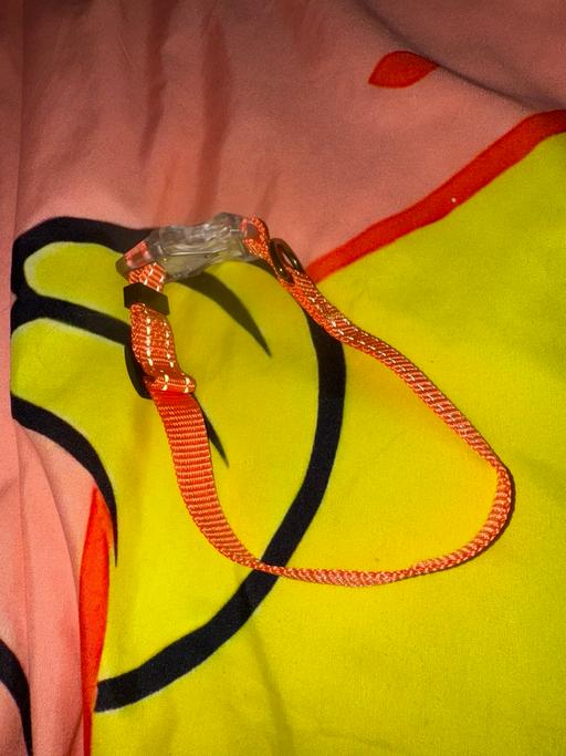 Buy & Sell Merseyside Liverpool - Photos for Small Pink Light-Up Dog Collar
