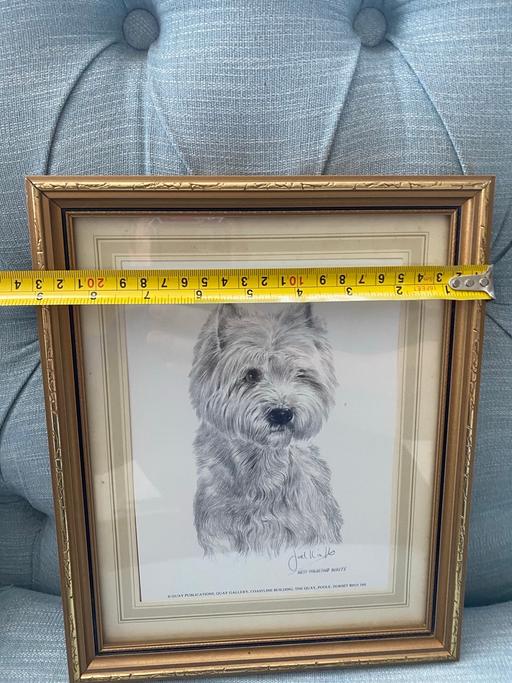 Buy & Sell West Midlands Birmingham - Photos for West Highland Terrier Framed Print