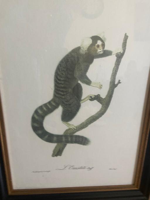 Buy & Sell Hampshire Winchester - Photos for Photos included frames v4