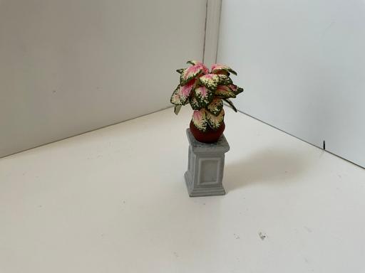 Buy & Sell East London Maryland - East London - Photos for Dolls house