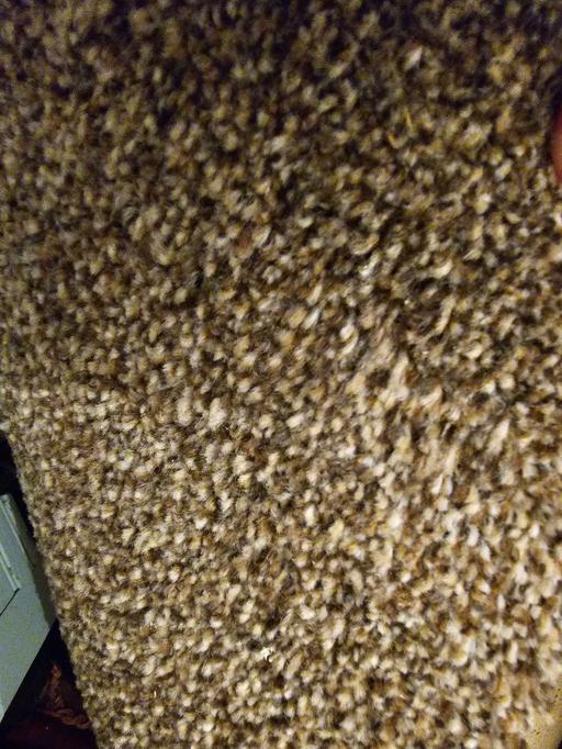 Buy & Sell West Midlands Walsall - Photos for carpet