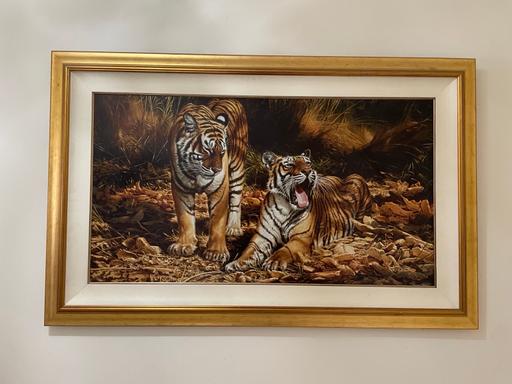 Buy & Sell West Midlands Birmingham - Photos for Micheal Jackson tiger