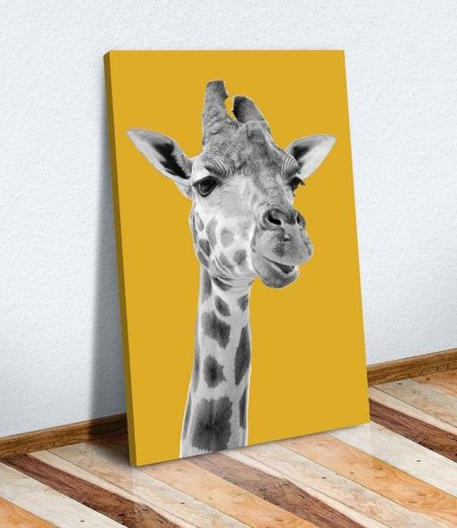 Buy & Sell Greater Manchester Bolton - Photos for new giraffe canvass