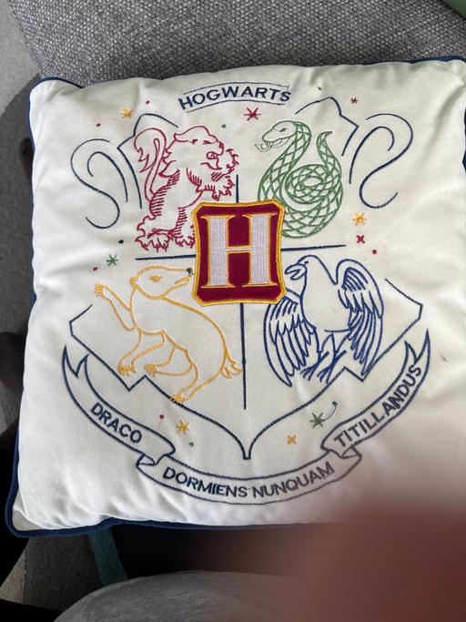 Buy & Sell South East London Croydon - Photos for Harry Potter cushion