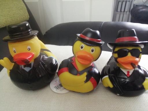 Buy & Sell West Midlands Wolverhampton - Photos for Three new gangster ducks, new