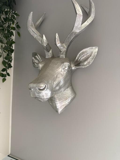 Buy & Sell Greater Manchester Wigan - Photos for Deer head wall art