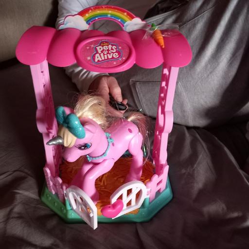 Buy & Sell West Midlands Birmingham - Photos for pets alive
