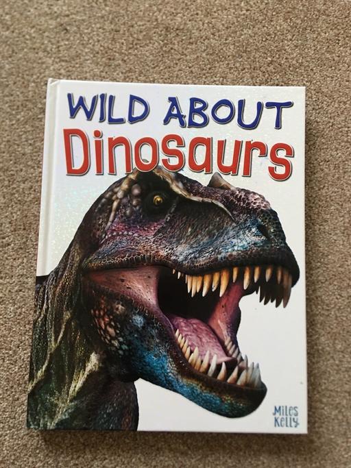 Buy & Sell West Midlands Birmingham - Photos for Wild about dinosaurs book