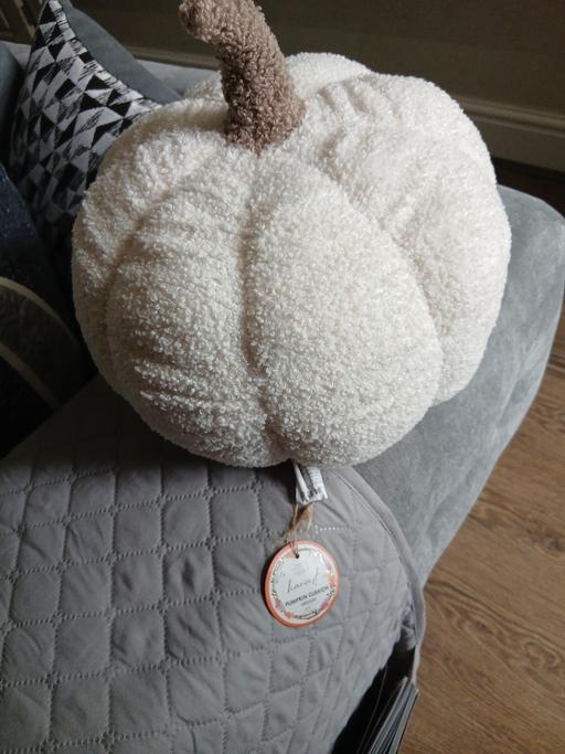Buy & Sell Greater Manchester Bury - Photos for Pumkin Coushion New