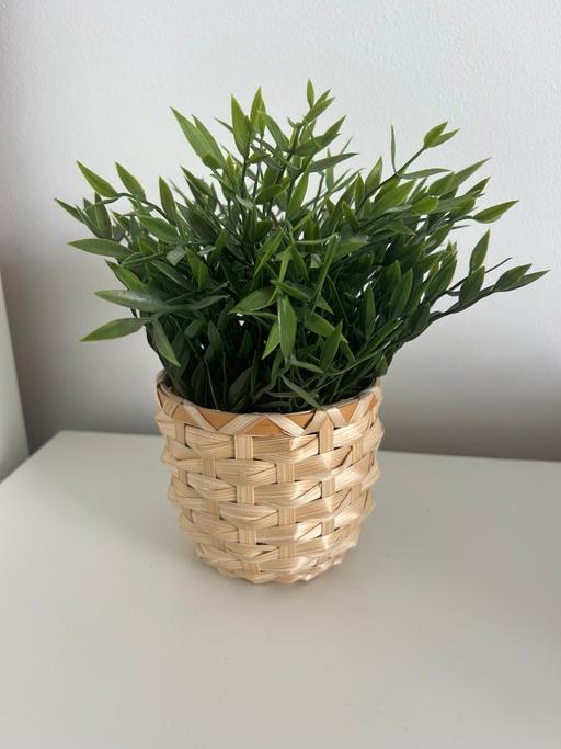 Buy & Sell Kent Thanet - Photos for Faux plant and pot