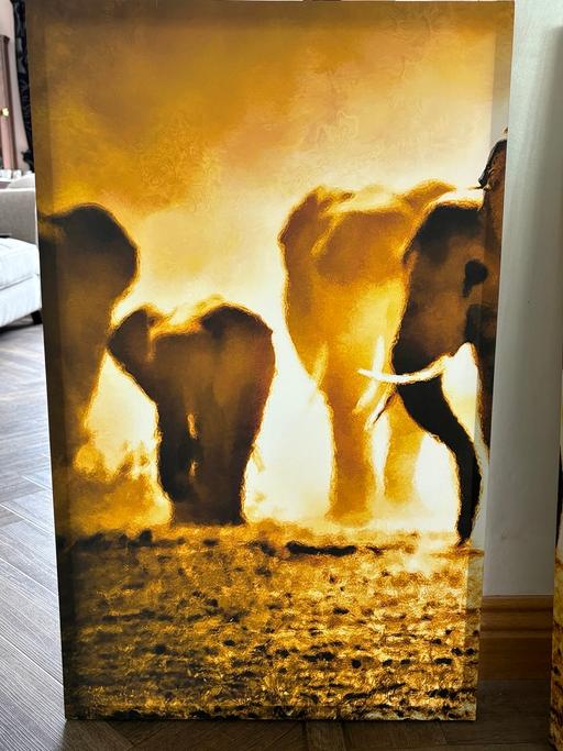 Buy & Sell Lancashire West Lancashire - Photos for Elephant 3 piece picture canvas