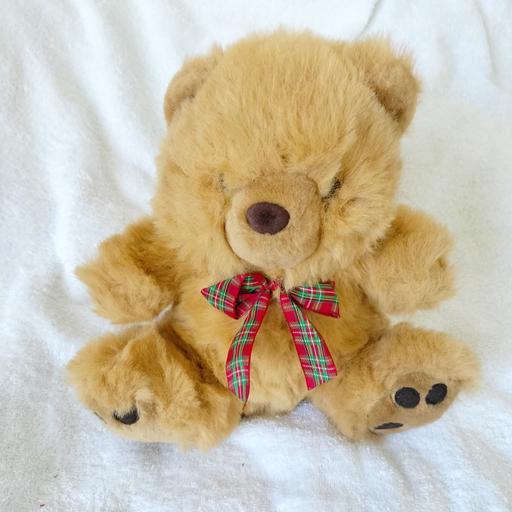 Buy & Sell North West London Chalk Farm - North West London - Photos for brown teddy bear