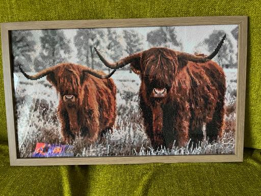 Buy & Sell Kent Medway - Kent - Photos for Highland cow diamond framed picture