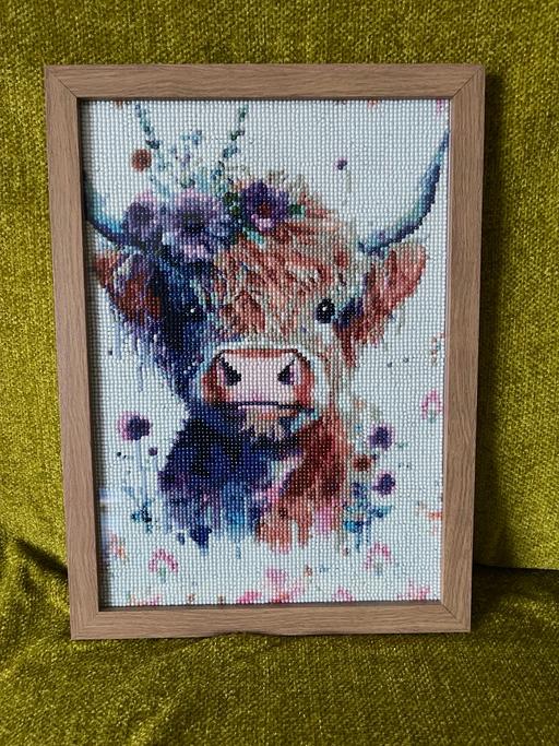Buy & Sell Kent Medway - Kent - Photos for Highland cow diamond art picture