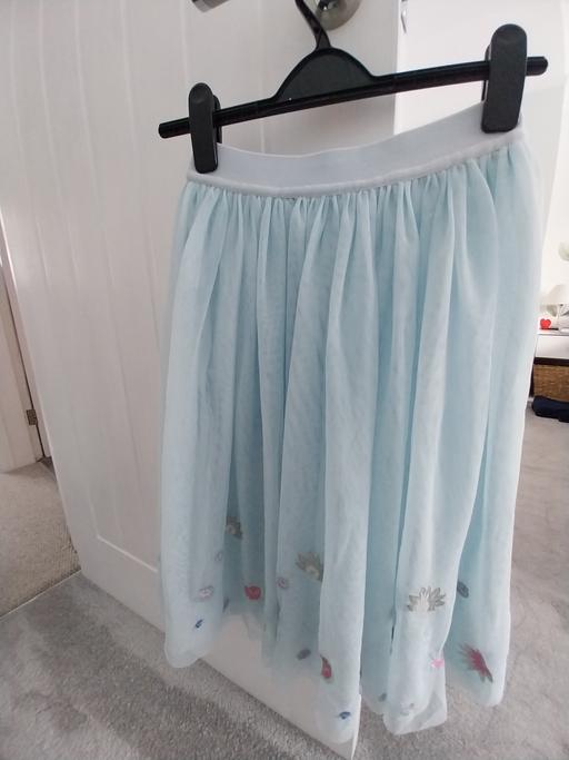 Buy & Sell West Midlands Birmingham - Photos for Tulle skirt