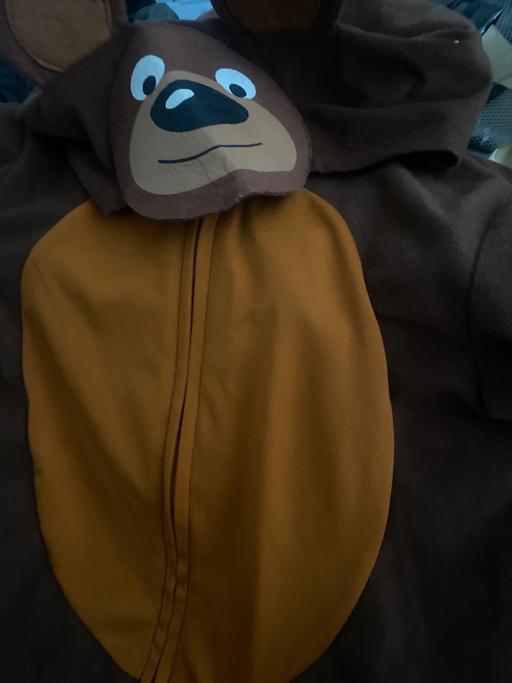 Buy & Sell Buckinghamshire Milton Keynes - Photos for Bear costume