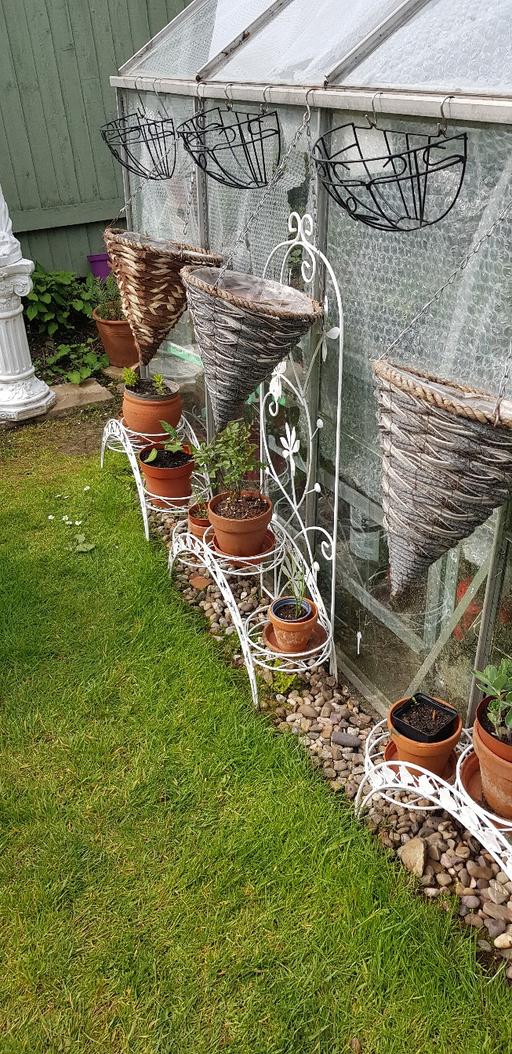 Buy & Sell West Midlands Birmingham - Photos for 3 x Hanging baskets £3 the all