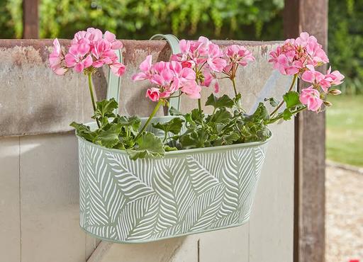 Buy & Sell Bexley Sidcup - DA15 - Photos for Fern Hanging Planter s