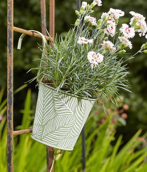 Buy & Sell Bexley Sidcup - DA15 - Photos for Fern Hanging Pots
