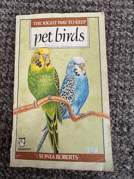 Buy & Sell Lancashire Blackpool - Photos for The Right Way to Keep Pet Birds