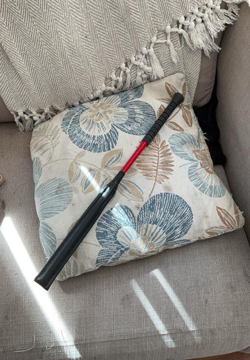 Buy & Sell South Yorkshire Doncaster - Photos for Pony racing baton
