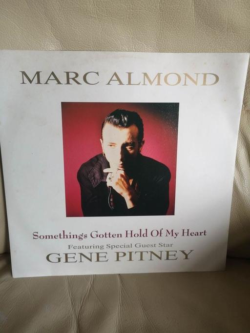 Buy & Sell Hampshire Hart - Photos for MARC ALMOND - 12