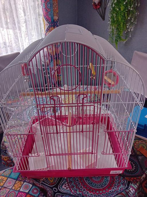 Buy & Sell Shropshire Telford and Wrekin - Photos for bird cage & accessories pink/white £8