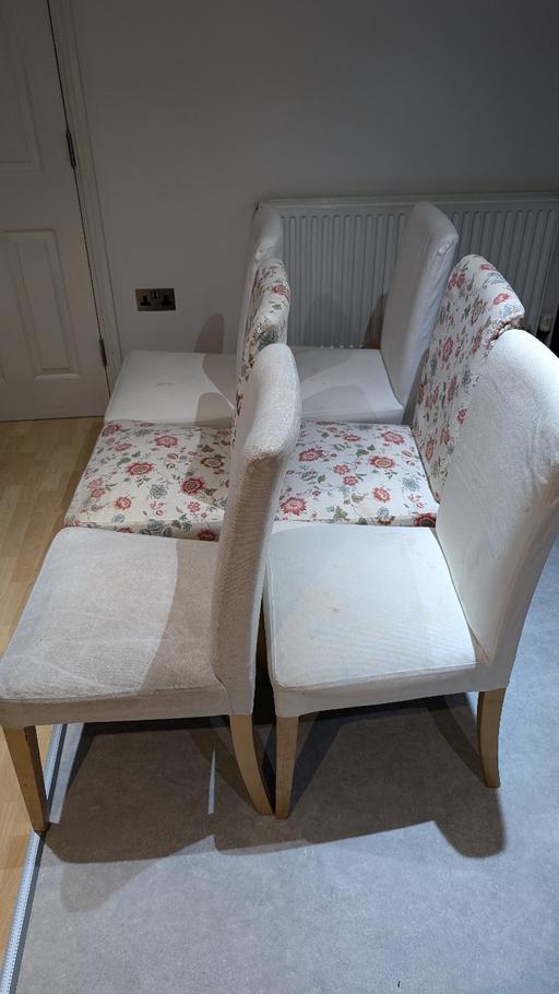Buy & Sell Essex Thurrock - Essex - Photos for 6 dining table chairs