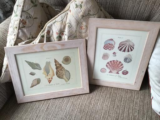 Buy & Sell West Midlands Wolverhampton - Photos for Two shabby chic shell pictures