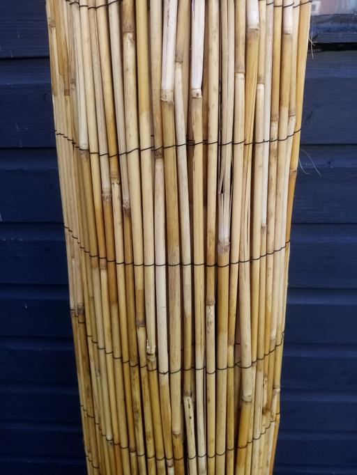 Buy & Sell West Midlands Wolverhampton - Photos for Bamboo fence screening 5ft tall x 12ft long