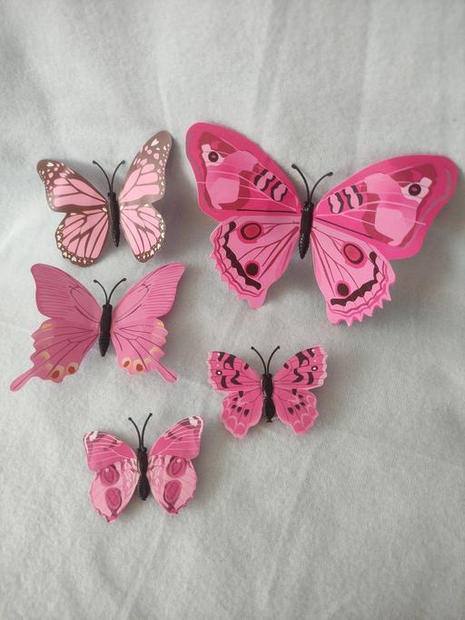 Buy & Sell West Northamptonshire Grafton Street Industrial Estate - West Northamptonshire - Photos for 5 Beautiful magnet butterfly