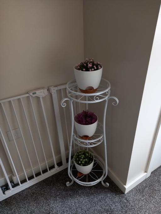 Buy & Sell Blaenau Gwent Beaufort - Blaenau Gwent - Photos for plant stand