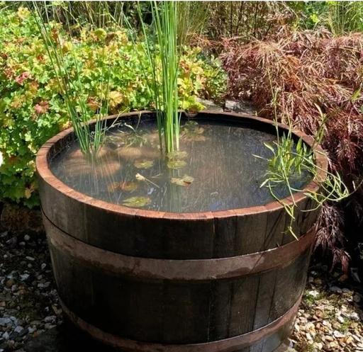 Buy & Sell Central London Clerkenwell - Central London - Photos for LARGE Watertight Oak WINE half barrel