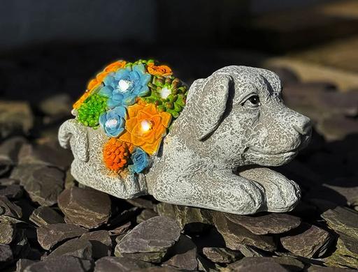 Buy & Sell Bexley Sidcup - DA15 - Photos for Solar Dog With Succulents