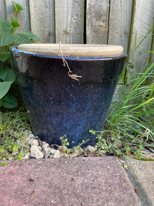 Buy & Sell South East London Lower Sydenham - South East London - Photos for Blue pot planter