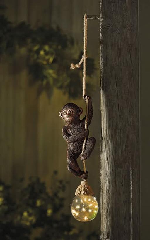 Buy & Sell Bexley Sidcup - DA15 - Photos for Monkey Rope
