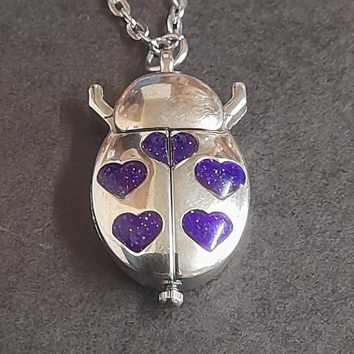 Buy & Sell Lancashire South Ribble - Photos for LADYBUG 🐞 PENDANT WATCH