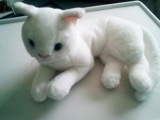 Buy & Sell Lincolnshire East Lindsey - Photos for brand new soft toy ornamental cat