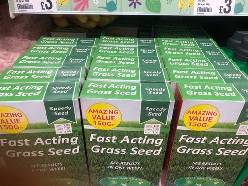 Buy & Sell Lancashire Chorley - Photos for Grass seed