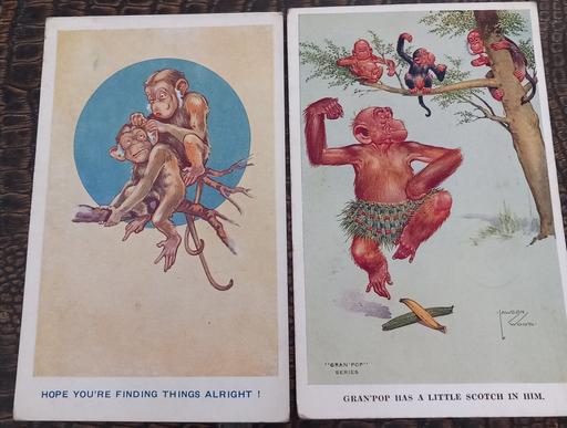 Buy & Sell Merseyside Saint Helens - Photos for Vintage comical monkey cartoon postcards