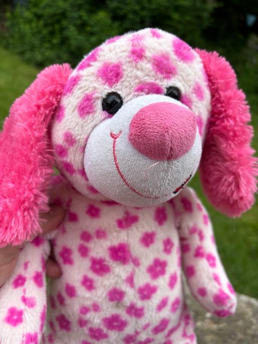 Buy & Sell West Yorkshire Kirklees - Photos for Teddy Mountain Daisy the Dog Soft Toy