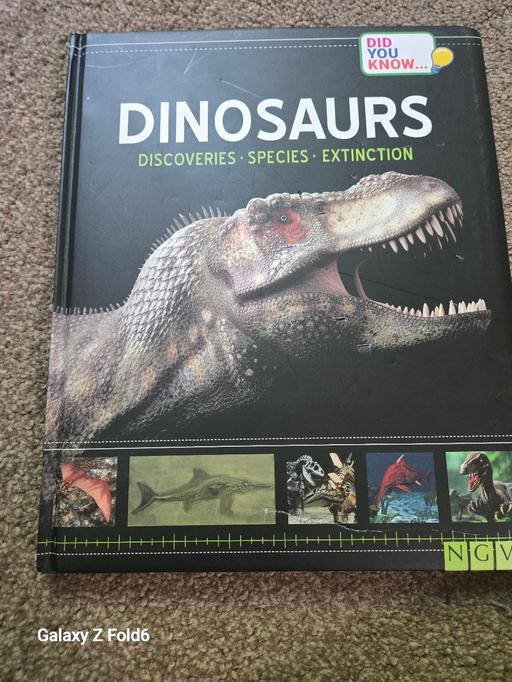 Buy & Sell Greater Manchester Trafford - Photos for Dinosaur