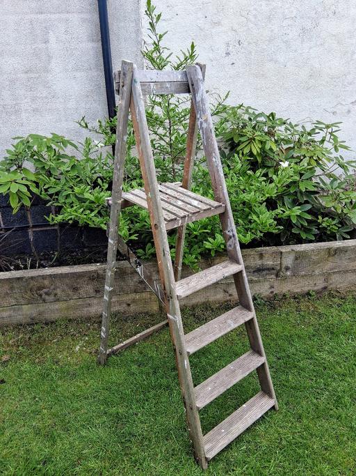 Buy & Sell Staffordshire Lichfield - Photos for wooden ladders 🪜