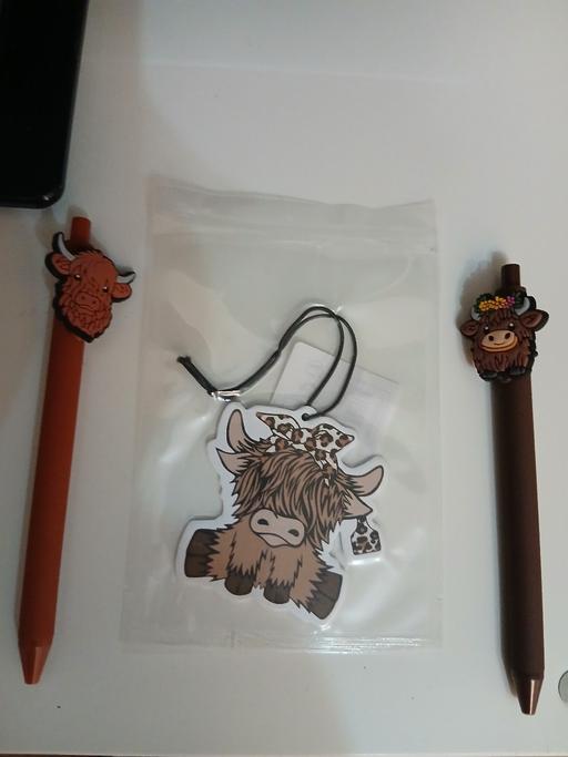 courses Greater Manchester Bury - Photos for Highland Cow Pens&freshner New