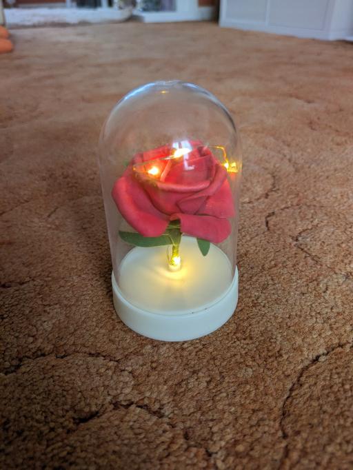 Buy & Sell South East London Southend - South East London - Photos for Light up Rose