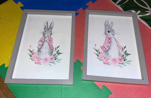 Buy & Sell West Midlands Sandwell - Photos for Flopsy Peter rabbit A4 frames