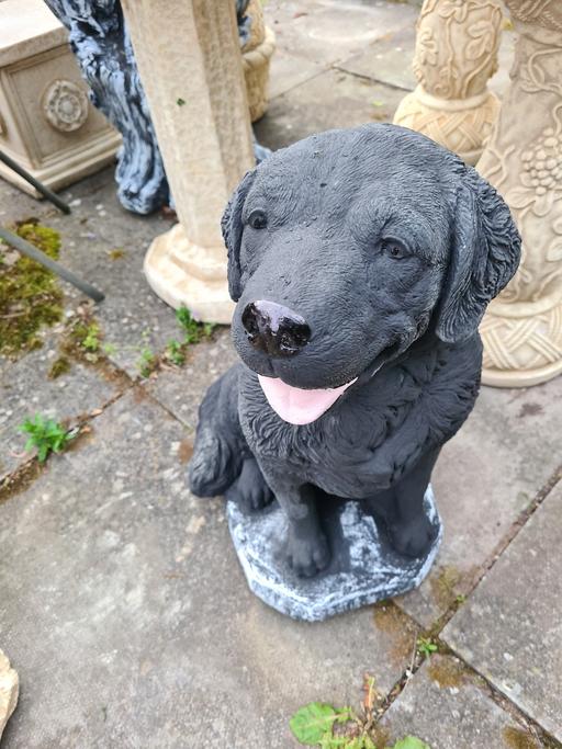 Buy & Sell West Midlands Birmingham - Photos for Labrador Life-size Statue