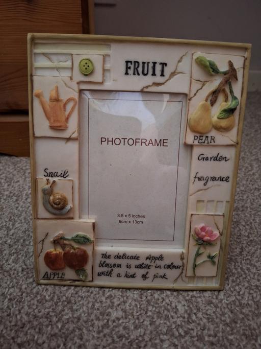 Buy & Sell West Midlands Wolverhampton - Photos for Fruit Themed Photo Frame